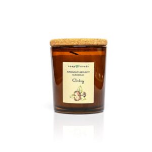 Świeca do aromaterapii Żurawina 230 ml